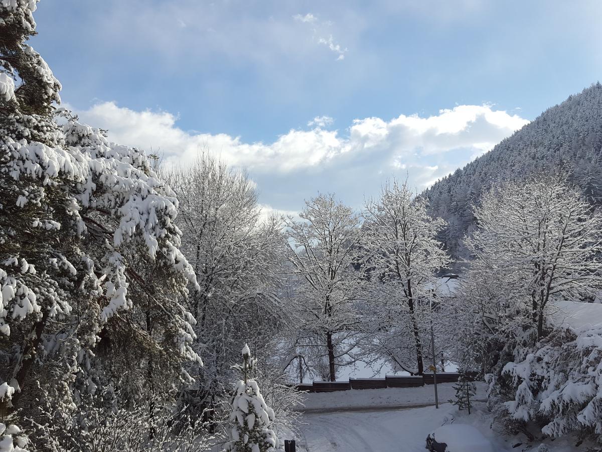 Residence Rienz Кьенес Экстерьер фото